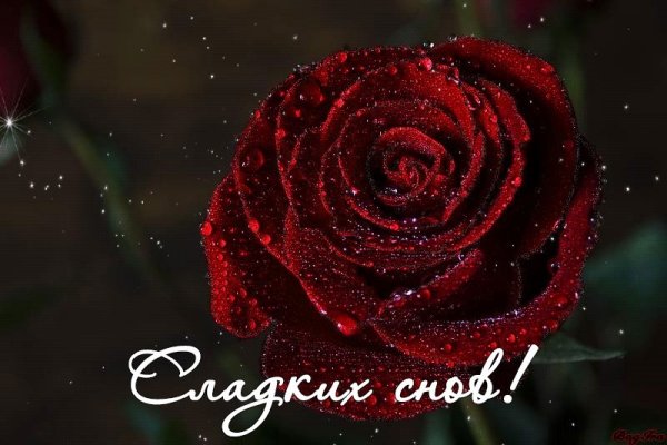 Цветы с пожеланием спокойной ночи