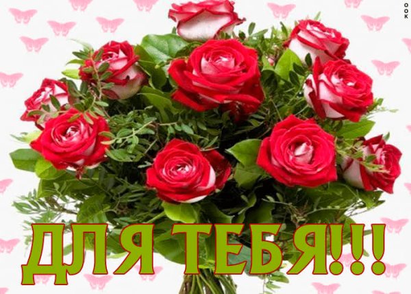 Букет роз для тебя