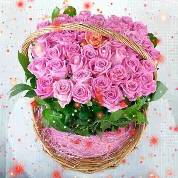 Шикарные розовые розы