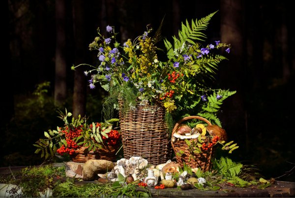 Корзина с лесными дарами