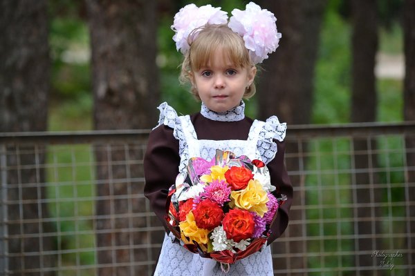 День знаний