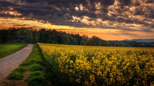 Гора Робсон, Канада