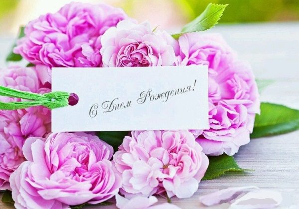 Открытка «пион»