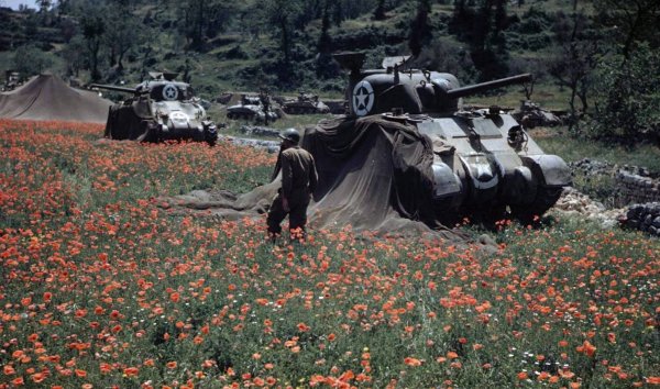 Нормандия 1944 в цвете поля