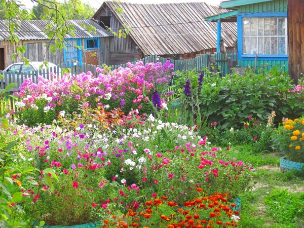 Цветочные клумбы на даче
