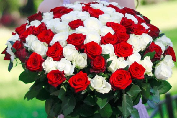 Шикарные розовые розы