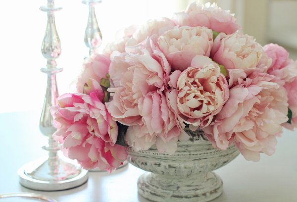 Пион букет Перфект Bouquet perfect