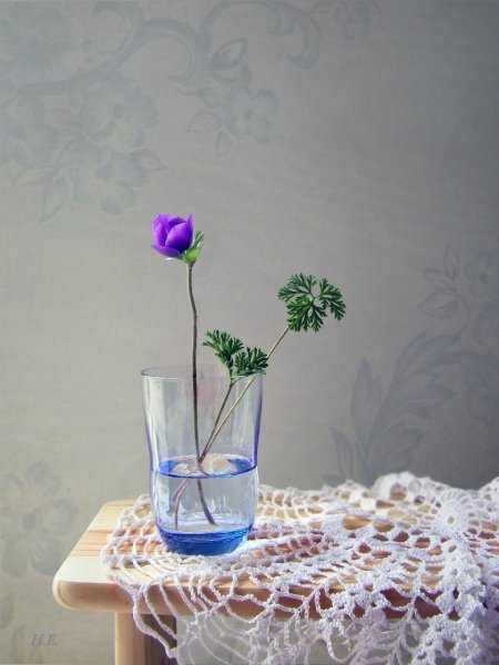 Цветы в воде в вазе