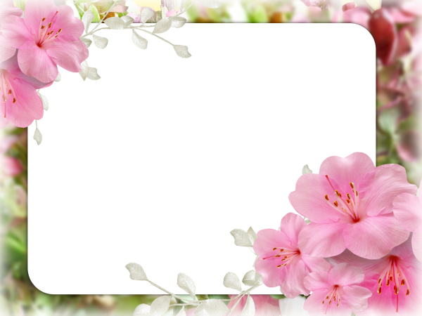 Белая рамка для фото с цветами, ручная роспись