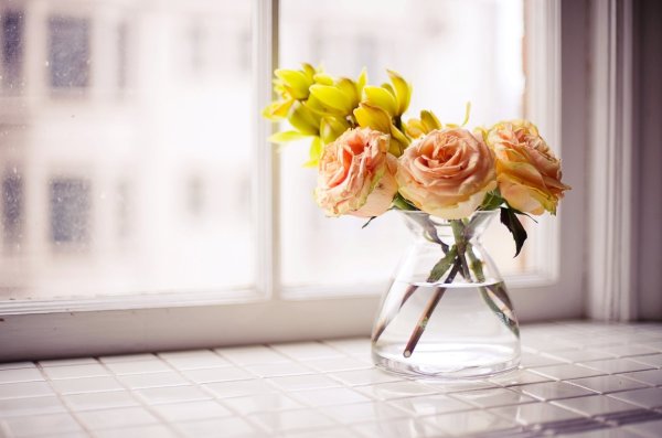 Букеты цветов на прозрачном и белом фоне