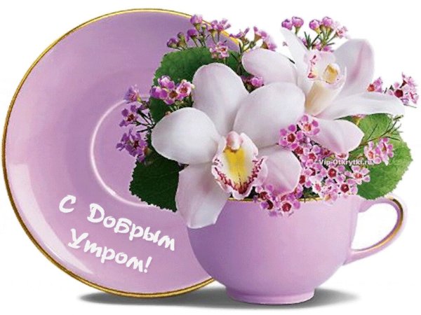 С добрым утром с орхидеями