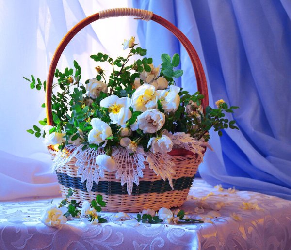 Цветы в корзине