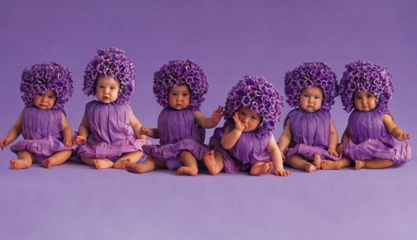 Детский фотограф Anne Geddes