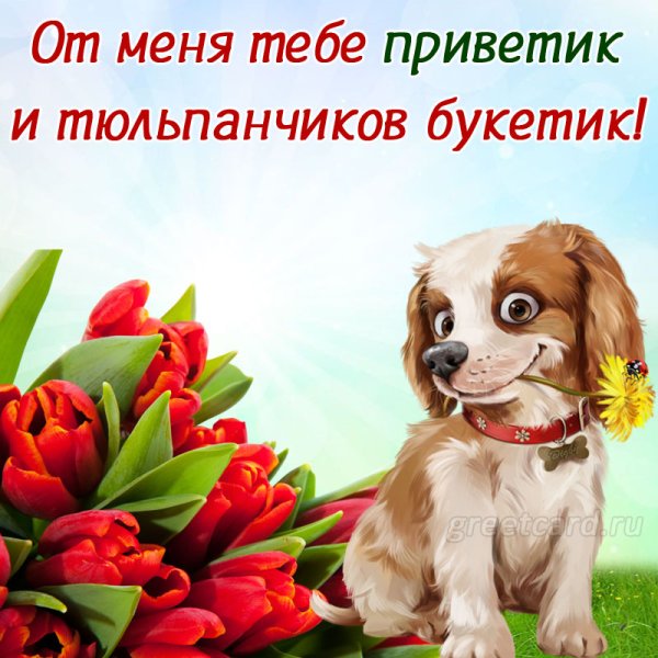 От меня приветик и цветов букетик