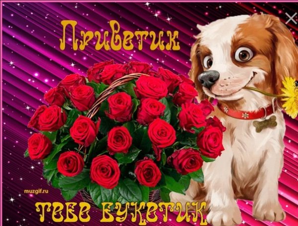 Приветик и красивый букетик