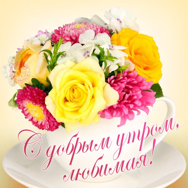Доброе утро любимая
