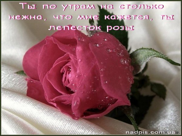 Кофе и цветы