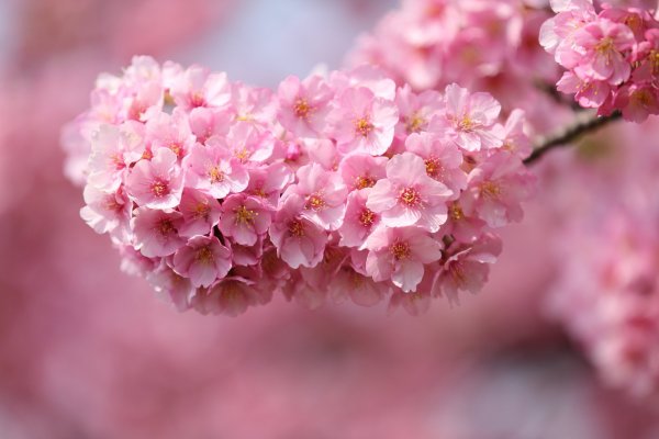 Апрель природа