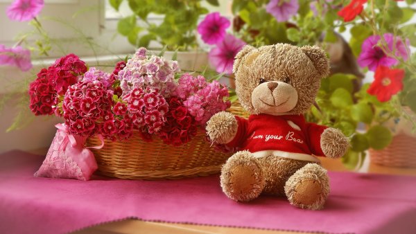 Марина Федотова художник иллюстратор