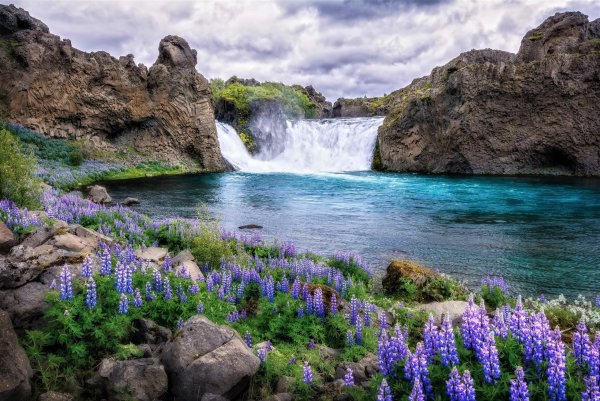 Водопад с цветами