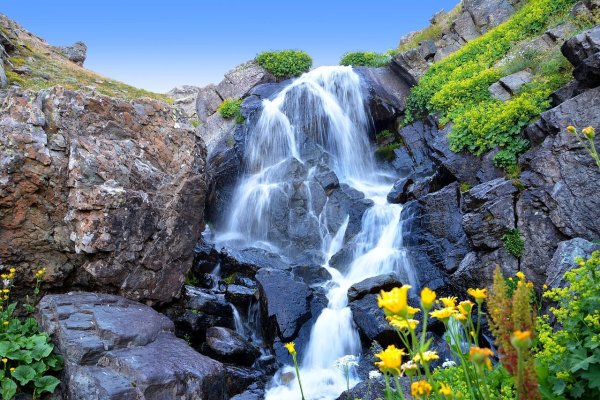 Цветущие сады и водопады