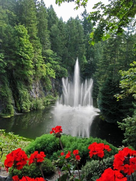 Красота природы