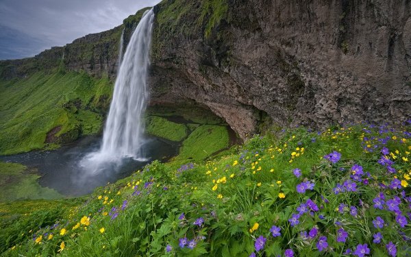 Красивые водопады с цветами