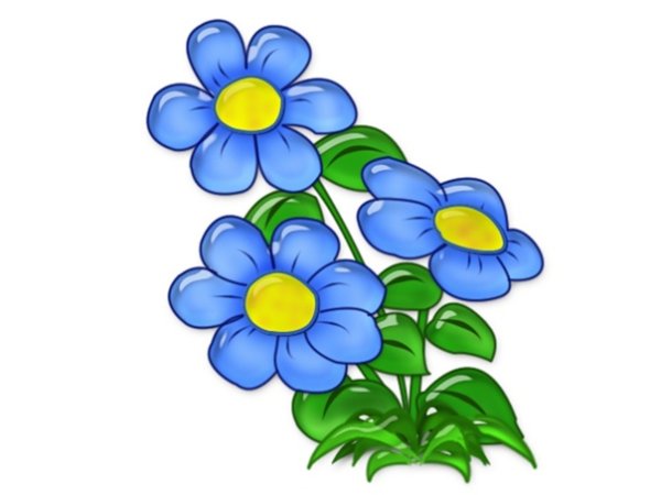 Цветы. Раскраска