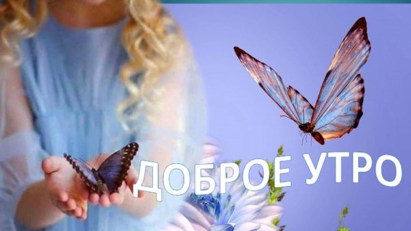 Доброе утро бабочки