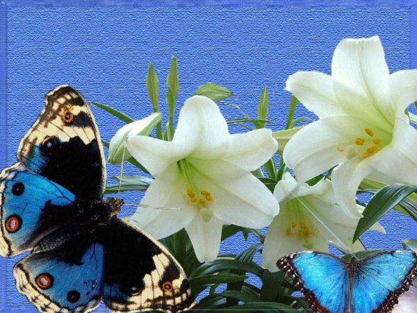 Удачного дня природа