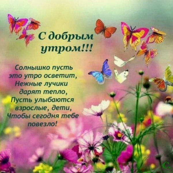 Гифка с добрым утром с бабочками