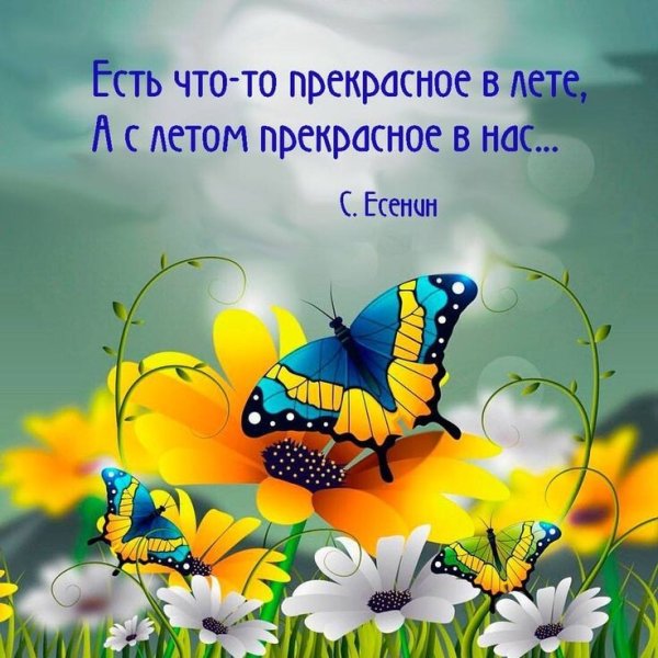 Анимированные цветы с бабочками