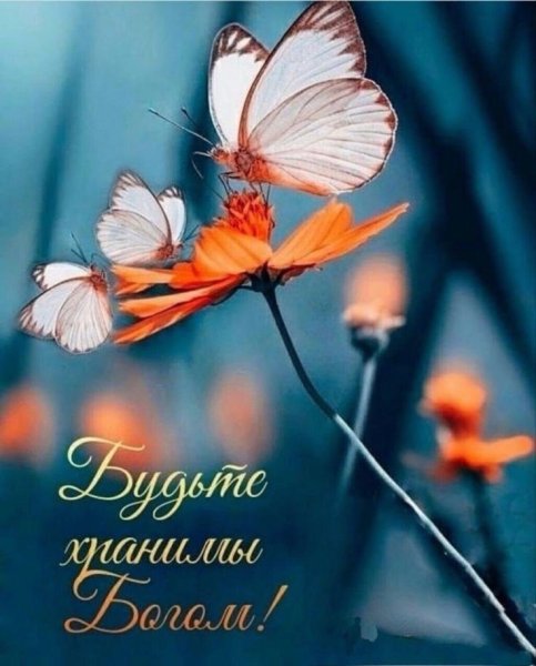 Красивые мелочи в природе
