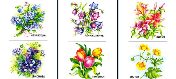 Карточки с изображением цветов для детей