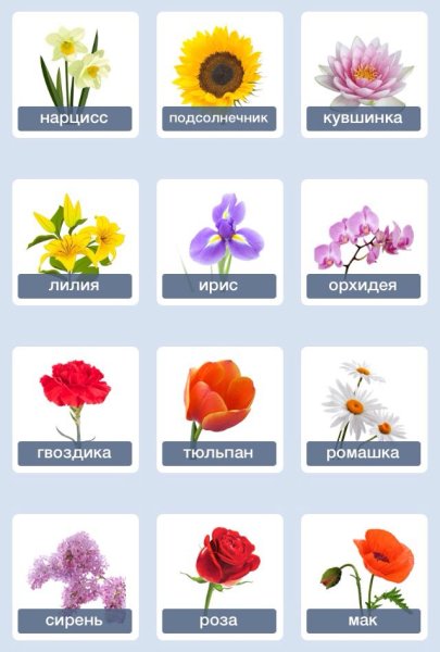 Значение цветов в букете