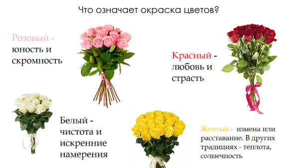 Цветы по гороскопу