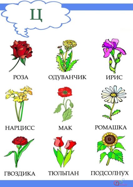 Женские цветочные имена