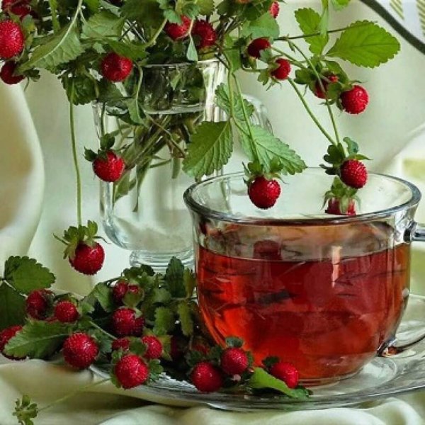 Чашечка чая с ягодой