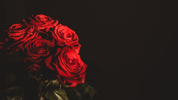 Цветы на черном фоне