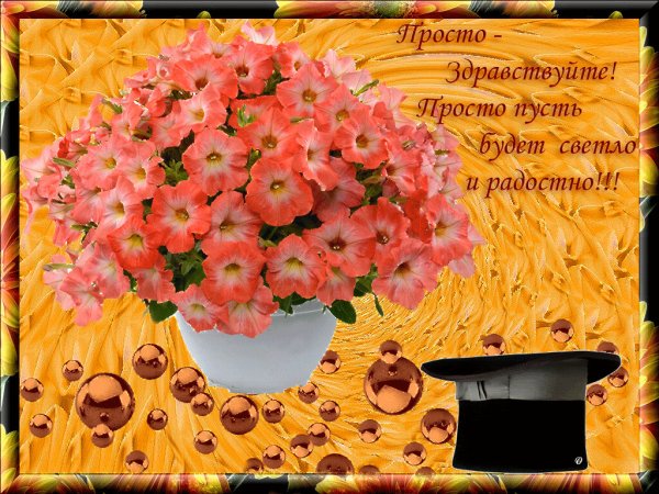 Открытки со словами Здравствуйте