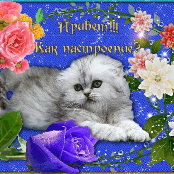 Чудесного настроения и хорошего дня сирень