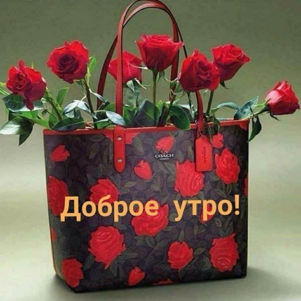 Пожелания доброго дня с куклами