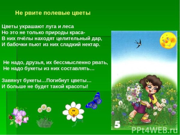 Нельзя рвать редкие цветы