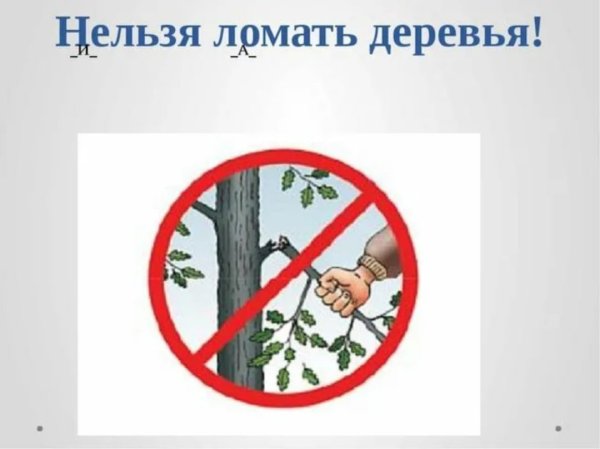 Что нельзя делать
