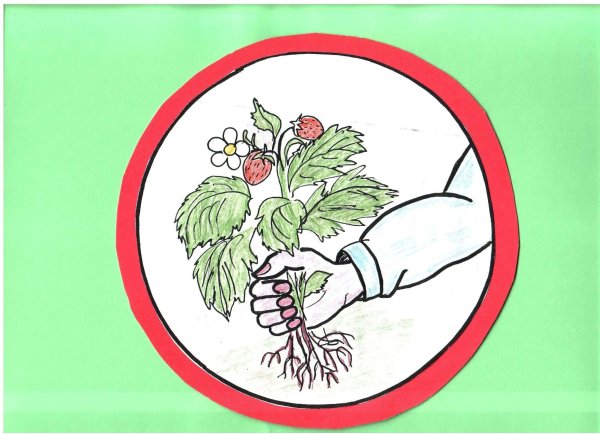 Знак не срывать цветы