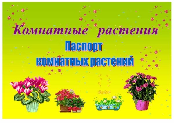 Комнатные растения в детском саду