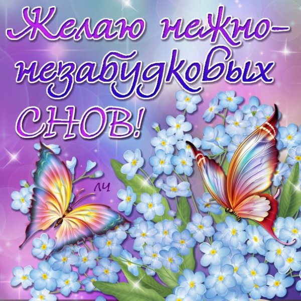 Спокойной весенней ночи