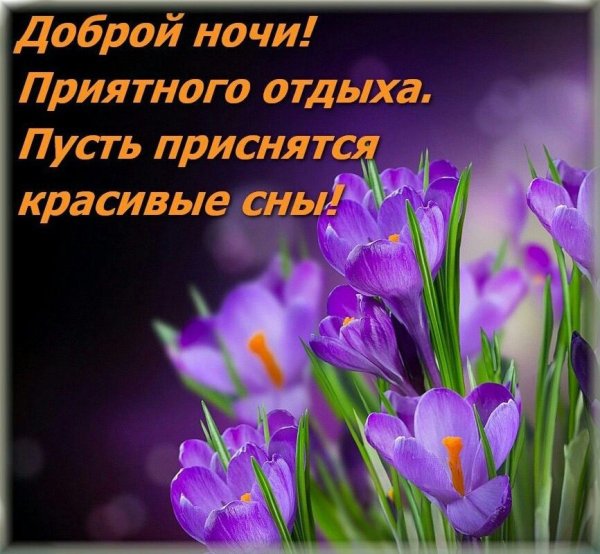 Спокойной весенней ночи