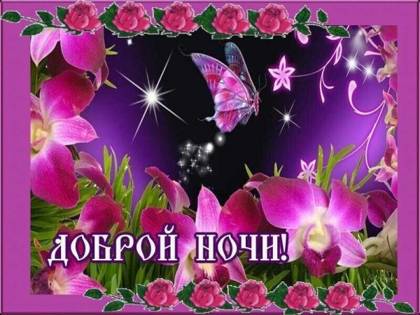 Спокойной ночи вечнние