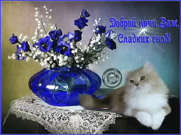 Прекрасной весенней ночи